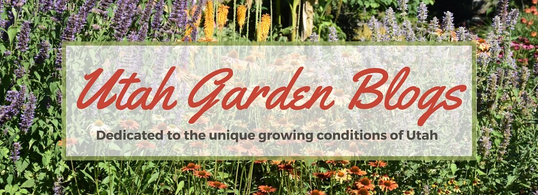 Utah Garden Blogs